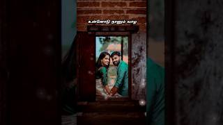 💕Adi Pennae Oru Murai 💕  Stephen Zechariah  Naam  tamil lyrics  Shorts Song [upl. by Profant]