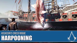 Harpooning Big Butts Halibut Fishing [upl. by Assirrem]