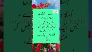 عورت وہ مخلوق flute music cover ringtone recorder quotes ncsringtone musiclove poetry noco [upl. by Secnarfyram]