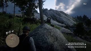 Red Dead Redemption 2 Catching McDaniels perfectly stealth [upl. by Shiau]