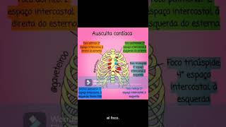 PUNTOS DE AUSCULTACIÓN CARDÍACA [upl. by Oaoj]