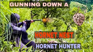 GUNNING DOWN A HORNETSWASP NEST  Hornet Hunter  WASP NEST REMOVAL  Edited [upl. by Pebrook]