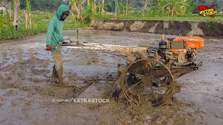 Skill Mumpuni Joki Muda Traktor Sawah Saat Menggaru Lahan [upl. by Eniksre141]