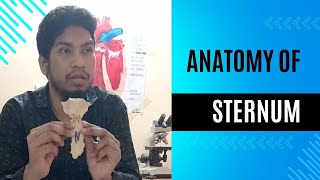 Anatomy of sternum Manubrium body and xiphoid process Bangla Lecture [upl. by Kciwdahc]