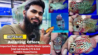 Imported Rare variety Kamfa Stock Update Veil tail Kamfa  F2 amp 99 Zeeshans amp Jawads Flowerhorns [upl. by Gudrun]