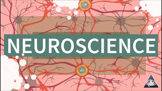 What is Neuroscience [upl. by Elnukeda]