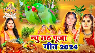 VIDEO  दउरवा लावे गइनी ऐ दीनानाथ  छठ पर्व गीत  sunita lokgeet paramparik chath Vrat Geet [upl. by Stew]