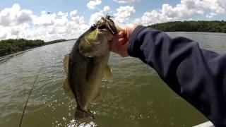 Flipping Milfoil amp Coontail for Mid  Summer Bass [upl. by Zela]