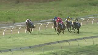 Yeppoon 20241102 Race 5 [upl. by Learsi]