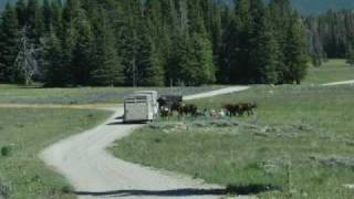 A Ride Along the Ridge Line of the Gravelly Mountains [upl. by Tommie]