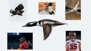 Sony 400mm 28 Real World Review Night Football and Wildlife Is The Hype Real Well [upl. by Caddric]