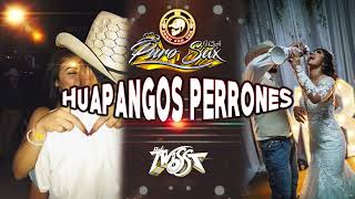 Huapangos Perrones  Djs Puro Sax Usa Oliver Mayo Dj Twisst  2024 [upl. by Flowers240]