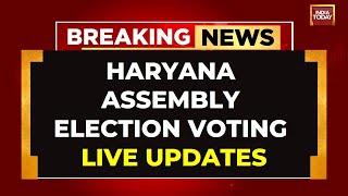 LIVE Haryana Assembly Elections Voting LIVE  MultiCornered Electoral Battle In Haryana [upl. by Ahsieuqal]