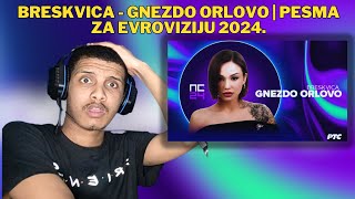 FIRST TIME REACTING TO  Breskvica  Gnezdo orlovo  Pesma za Evroviziju 2024 [upl. by Eugatnom512]