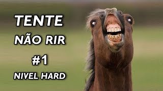 Tente Não Rir Nível Hard 1 [upl. by Venuti743]