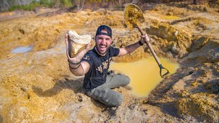 Digging DEEP For Fossilized Megalodon Shark Teeth prehistoric riverbed [upl. by Viole]