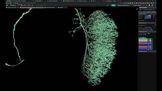 FlyWire Connectivity App Demo [upl. by Aseyt]