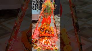 Tulsi Vivah ki hardik shubhkamana 🙏🏻 2024shorts celebration tulsivivah happy foryou followme [upl. by Rednazxela]