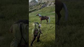 Horse Accident Turns into Standoff 🤠🐴 RDR2 StandOff WildWest reddeadredemtion2 [upl. by Teddi]