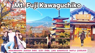 Day 2 🌸 Mt Fuji Kawaguchiko Arakurayama Sengen Park Oishi Park Lake Kawaguchi Maple Corridor [upl. by Demmahum]