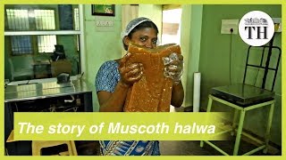 The story of Muscoth halwa [upl. by Nelan]