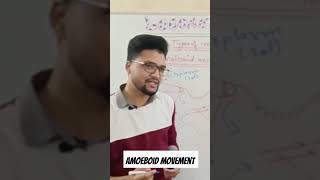 CONCEPT OF AMOEBOID MOVEMENTS LOCOMOTION AND MOVEMENTS BIO ROOTS biology neet plants science [upl. by Sherill954]