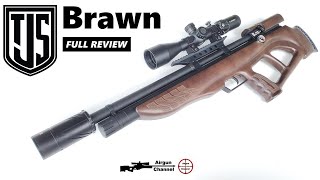 JTS Brawn Review Bullpup PCP Rifle Top Accuracy at 499 [upl. by Noakes229]