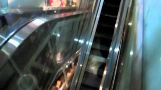 赤レンガ倉庫の三菱エスカレーター 2 Escalator [upl. by Fabrianne]