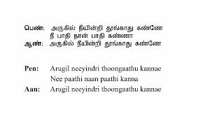 Nee Paathi Naan Paathi Kanne Karaoke [upl. by Alohs]