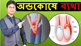 অন্ডকোষে ব্যথা বা অন্ডকোষের রোগ  Testicular pain or testicular disease Bangla  Dr Shamim Hosen [upl. by Ahsienot730]