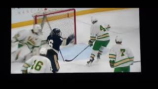 Minnesota High School championship 2024 Edina v Chanhassen goal [upl. by Eenaffit]