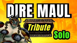 Dire Maul Tribute Hunter Solo Guide  WoW ClassicSoD [upl. by Elsbeth]