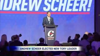 Andrew Scheer elected as new Tory Leader [upl. by Eelrefinnej]