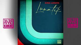 Gina Lunata  Rebirthdaze Rare Wiri Records [upl. by Llednar]