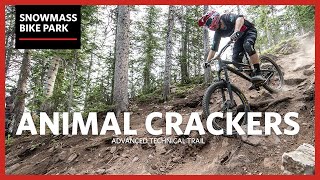 Snowmass Bike Park  ANIMAL CRACKERS Trail Preview  POV [upl. by Jourdain]