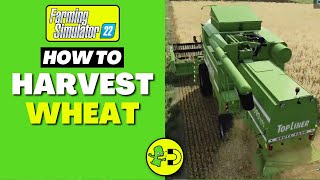 Farming Simulator 22 How to Harvest Wheat [upl. by Akinat]