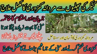 Kikar Ki Phali Ke Fayde  Amazing Benefits Of Acacia Seed  Keekar Acacia Tree Benefits In Urdu [upl. by Naved411]