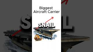 Snail 🐌 vs Fighter Jet ✈️—The Shocking Winner 🤯🚀 [upl. by Pazia725]