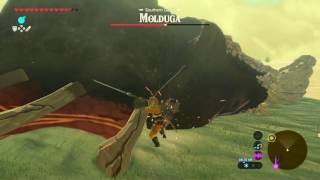 Legend of Zelda BOTW boss fight Molduga with strategy [upl. by Seiuqram]