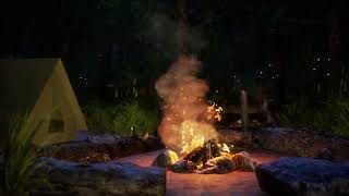 【Camp fire Ambient Sound 51 Surround 3h】 1 焚き火を囲んだ夜の森の環境音 [upl. by Nylirek448]