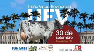 4° Leilão Virtual de Bovinos da UFV  Setembro 2024 [upl. by Bathsheeb350]