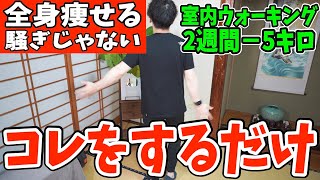 【全身痩せ有酸素運動】2週間で5kgを目指す血糖値を下げる食後の運動でお腹痩せ背中痩せしながら腰痛まで解消するダイエット／室内ウォーキングで痩せ体質になろう最強ダイエット！ [upl. by Allicerp]