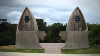 Chowing down on the Matakana coast  Roadside Stories [upl. by Nichy]