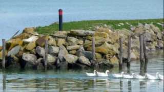 ISOLA MAGGIORE del LAGO TRASIMENO Umbria  Full HD [upl. by Kenley]