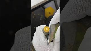 Rose Plant Grafting Technique rose plant grafting youtubeshorts shorts plant viralvideo [upl. by Haleelahk]