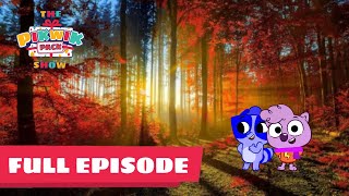 The Pikwik Pack Show S1 E2 Carsons sleepover [upl. by Delos]