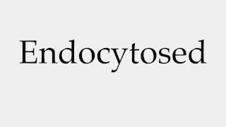 How to Pronounce Endocytosed [upl. by Akapol]