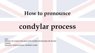 How to pronounce condylar process  meaning [upl. by Urbani]