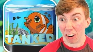 TANKED AQUARIUM GAME iPhone Gameplay Video [upl. by Caressa]