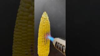 Powerful Lighter vs Corn [upl. by Ynos]